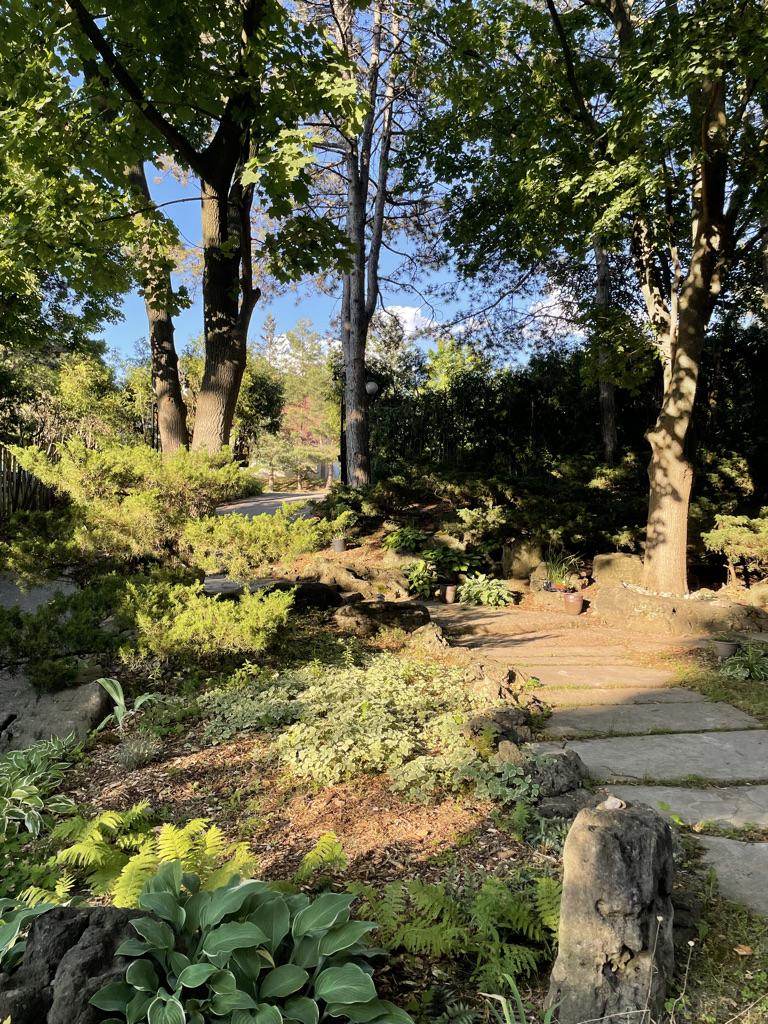 A path through the garden