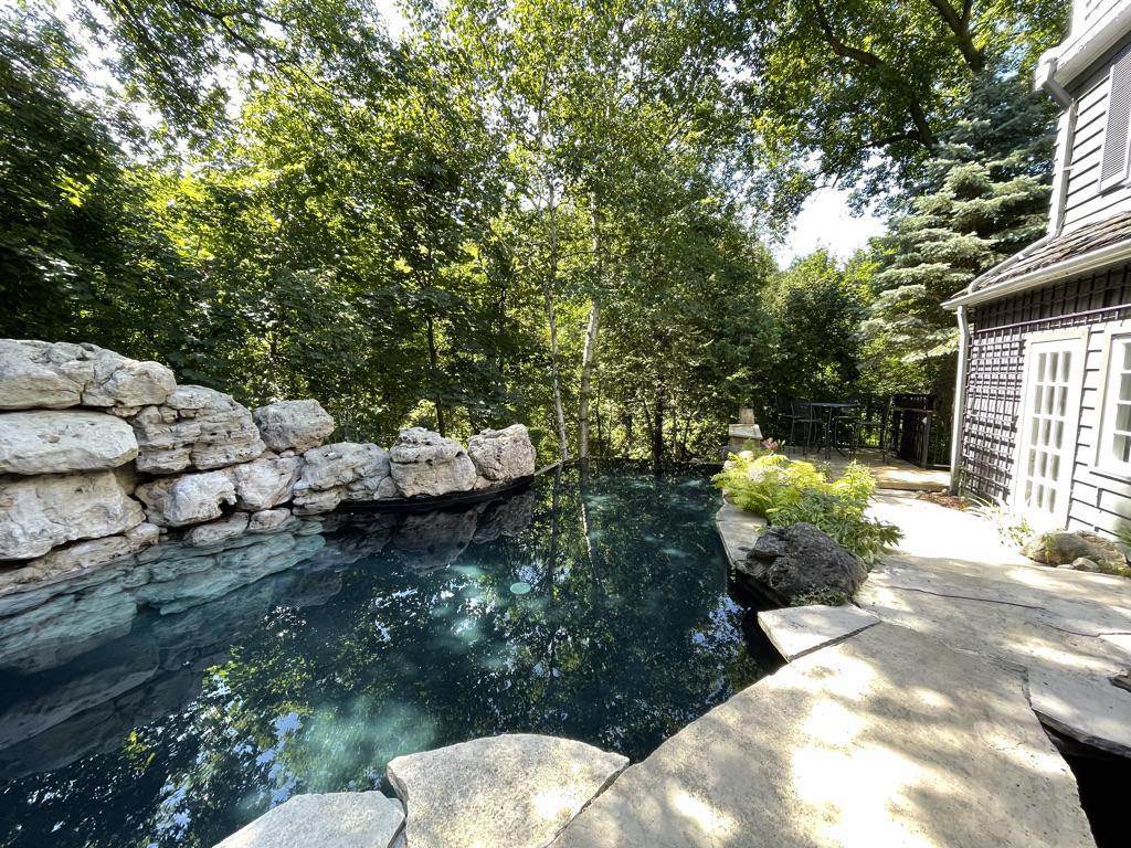 The natural pool seen across the garden