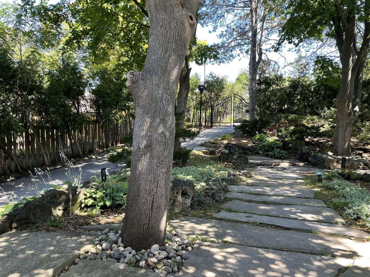 The wooded path into Aspenwood, the Breakthrough Therapies sanctuary in Toronto