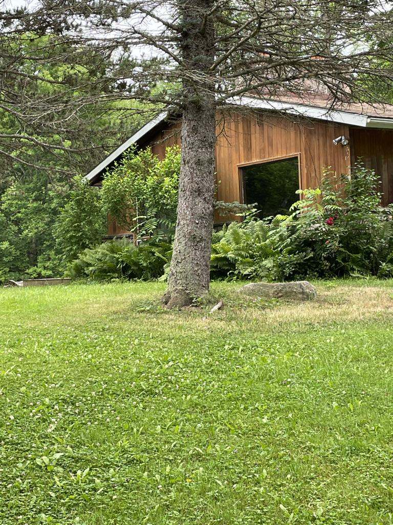 The cabin at our country retreat