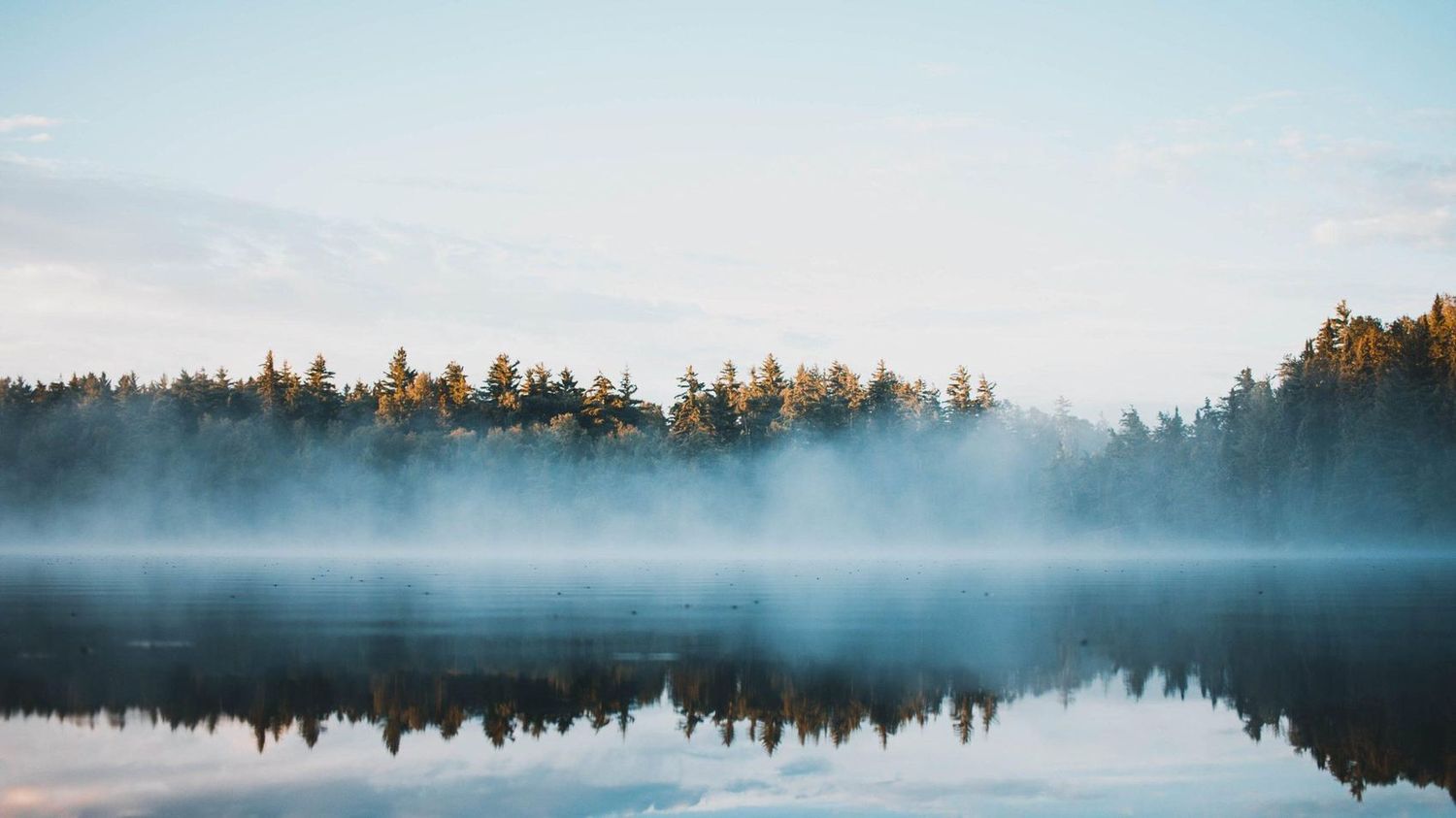 The country sanctuary in the Grey Highlands